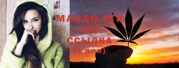 2c-b Гусев