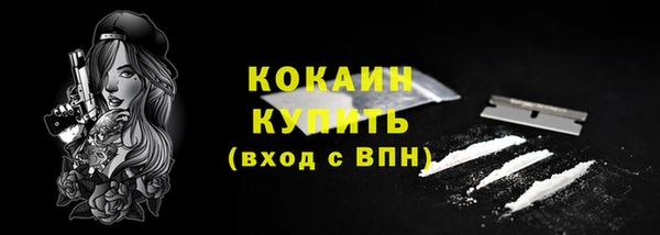 spice Гусь-Хрустальный