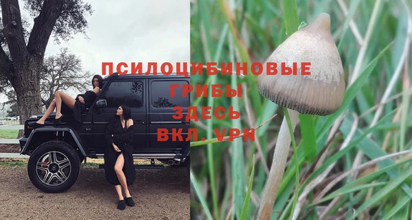 spice Гусь-Хрустальный