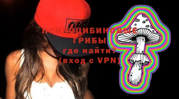 spice Гусь-Хрустальный