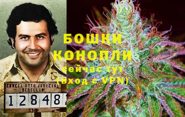spice Гусь-Хрустальный