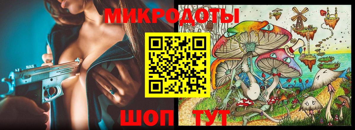 Мончегорск  Псилоцибиновые грибы Psilocybe  Вход с VPN 